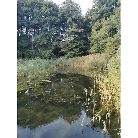 Nature Neumuehle Schwerin