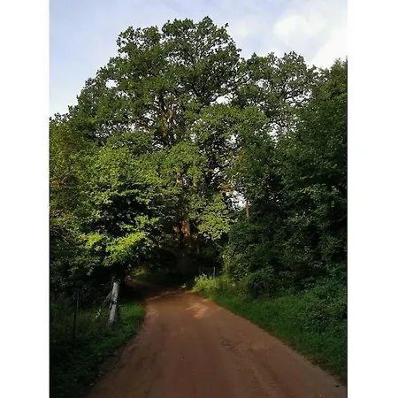 Nature Neumuehle Schwerin