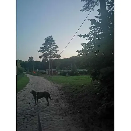Nature Neumuehle * Schwerin